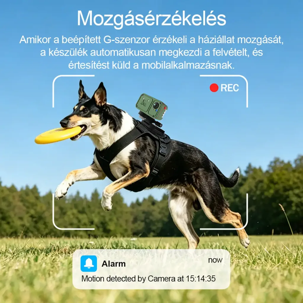 RobiCam PC05-2M 4G GPS camera for dogs